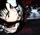 Picture for song 'Intro' by artist 'Brett Lee music'