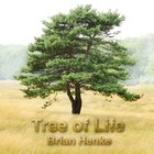 Picture for song '07 Tree of Life' by artist 'Brian Henke'