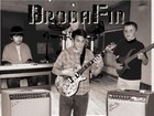 Picture for song 'Cryin Blues (Live)' by artist 'BrodaFin'