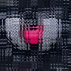 Picture for song 'Can You Mend a Heart' by artist 'Bruce and Bethany'