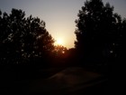 Picture for song 'picker' by artist 'buryboyp'