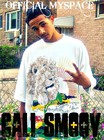 Picture for song 'song 4 the haters' by artist 'Cali Smoov'