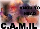Picture for song 'Nod Yo Head' by artist 'CAMIL'