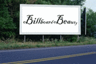 Picture for song 'Billboard Beauty' by artist 'Career Suicide'