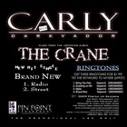 Picture for song 'BRAND NEW' by artist 'CARLY DARK VADOR'