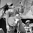 Picture for song '(Reggae)Crowned King(Tafari)' by artist 'Beats By The King'