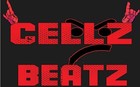 Picture for song 'Why They Mad At Me Produced by Cellz' by artist 'CellzBeatz'