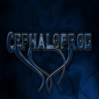 Picture for song 'Noob Test' by artist 'Cephaloprog'