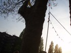 Picture for song 'It's You (2005)' by artist 'Chinup'
