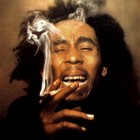 Picture for song 'Please Don't Smoke My Herb (Lease Only)' by artist 'Chuck Stacks'