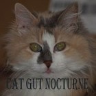 Picture for song 'Cat Gut Nocturne' by artist 'Clark Engbrecht'
