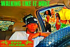 Picture for song 'Walking like it Hurt' by artist 'CoCo Island'