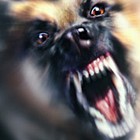 Picture for song 'Dog On A Chain' by artist 'Code 39'