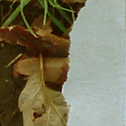 Picture for song 'Pilgrim 09 Acquaintance' by artist 'Cody Duncan'