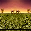 Picture for song '03 - Wish I was There' by artist 'Complex Airwaves'