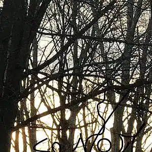 Picture for song 'Punished' by artist 'Concensusdown'