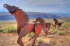 Picture for song 'The BIG RED Shuffle' by artist 'CottonMouth'