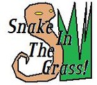 Picture for song 'Snake In the Grass!' by artist 'Cran Cowan'