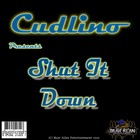 Picture for song 'Shut It Down' by artist 'Cudlino'