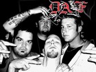 Picture for song 'Yes It's D.A.F....!!!' by artist 'D A F'