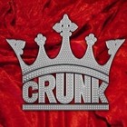 Picture for song 'Crunk Beat #11 (FREE DL)' by artist 'Da Flow BeatZ'