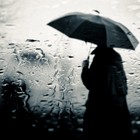 Picture for song 'Rain' by artist 'Damie Muzick'