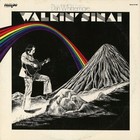 Picture for song 'Walkin' Sinai' by artist 'Dan Whittemore'