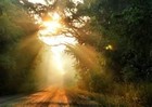 Picture for song 'Into The Light' by artist 'One Kingdom'