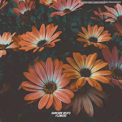 Picture for song 'flowers' by artist 'darkside beatss'