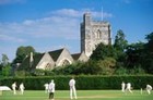 Picture for song 'It's Simply Cricket' by artist 'David East'