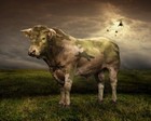 Picture for song 'runework' by artist 'DEEP CUT'