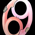 Picture for song '69' by artist 'Def Starz'