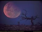 Picture for song 'Dj Ack - Moonrise' by artist 'Dj Ack Music'