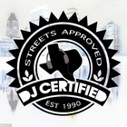 Picture for song 'Dubstep Rap.mp3' by artist 'DJ CERTIFIED PROD'