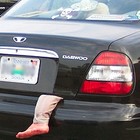 Picture for song 'Body In The Trunk' by artist 'DJ DubG'