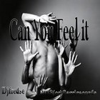 Picture for song 'Djfredse-Can you feel it' by artist 'Djfredse'
