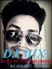 Picture for song 'BURN OUT oh oh ohhhh ft joybe' by artist 'DJ JOY BEE'