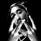 Picture for song 'WestCoast Banger!' by artist 'Djkonek'