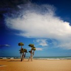Picture for song 'Wav-E - Invisible Oasis' by artist 'Branko Stojanovski'