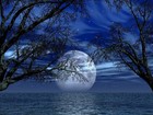 Picture for song 'Wav-E - Perfect Dream' by artist 'Branko Stojanovski'