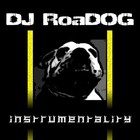Picture for song 'Can't Get It Out Me' by artist 'DJ RoaDOG'