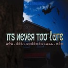 Picture for song 'ITS NEVER TOO LATE' by artist 'DOTTIEDOESIT'
