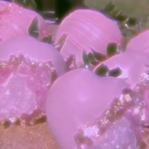 Picture for song 'Purple Pills (BUY 1 GET 4 FREE)' by artist 'DreamBigRecords'