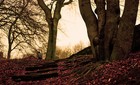 Picture for song 'Life' by artist 'D-Rect'