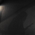 Picture for song 'A beast within' by artist 'Drondamus'