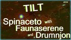 Picture for song 'TILT - Spinaceto, Faunaserene and Drumnjon' by artist 'Drumnjon'