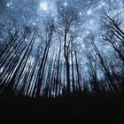 Picture for song 'Ursa Major' by artist 'Duffs Recordings'