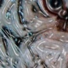 Picture for song '"Do the Math"' by artist 'Duk Duk'