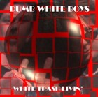 Picture for song 'Trailor Park Booty' by artist 'Dumb White Boys'