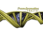 Picture for song '05 ELAKWENTS - Transformative Traits' by artist 'ElAKwents'